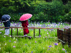 雨景色...