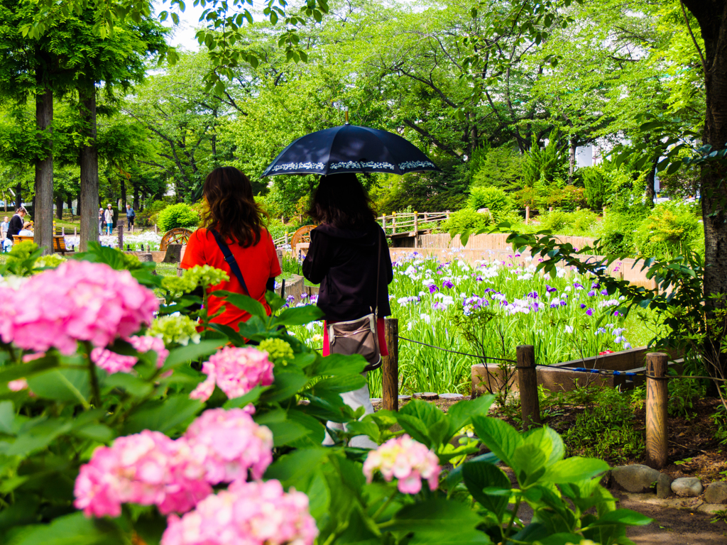 しょうぶ沼公園の午後