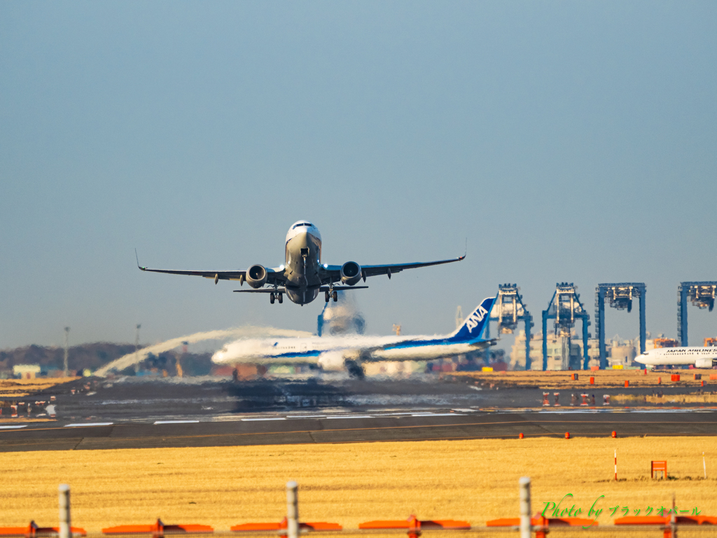 大空へ..