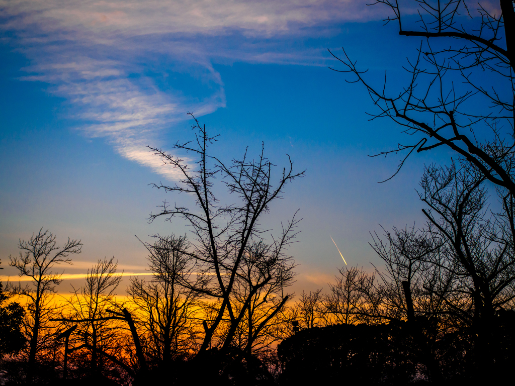 晩冬の夕暮れ..＃1