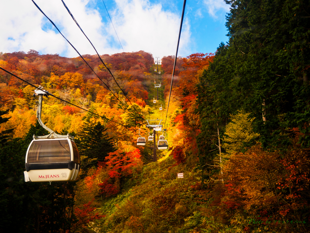紅葉のゴンドラ