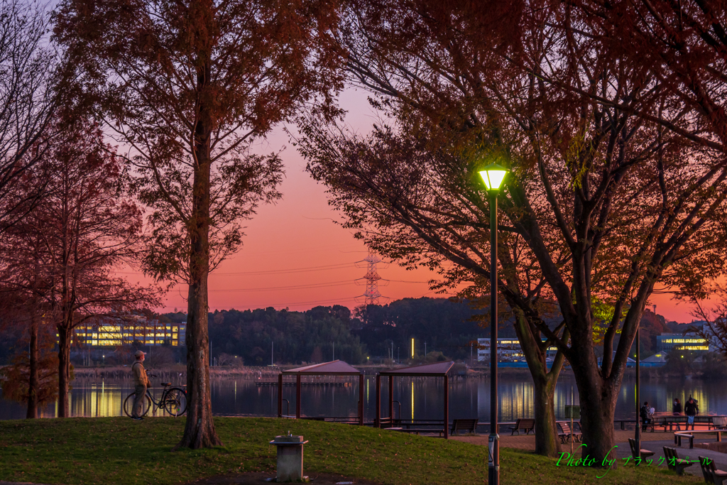 公園の黄昏風景..