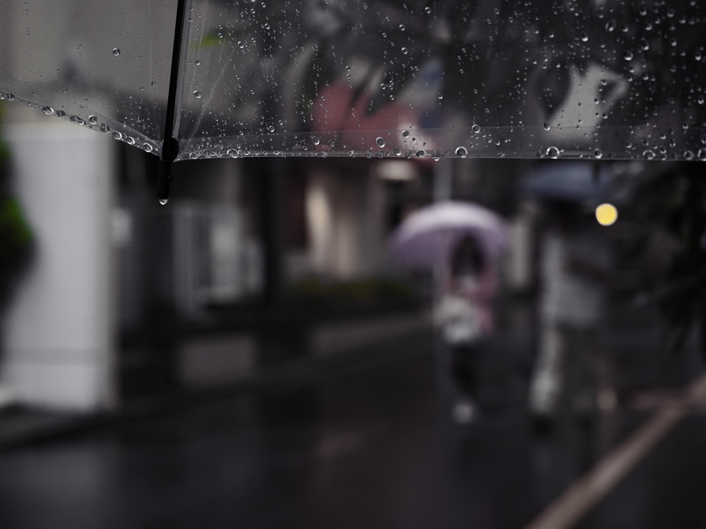 雨・・・＃2