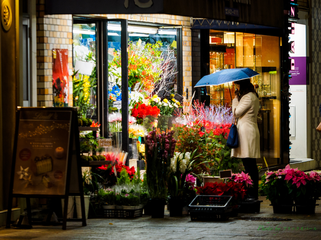 花屋の店先 By ブラックオパール Id 写真共有サイト Photohito