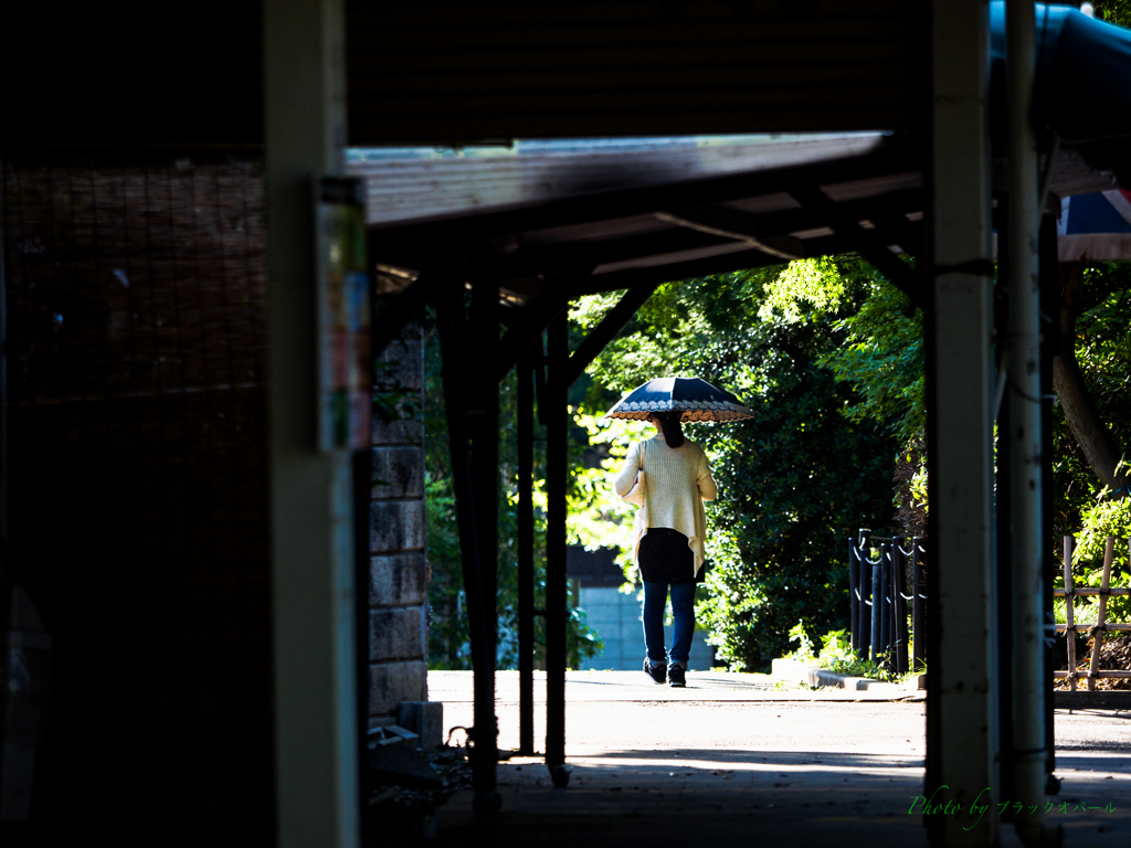 日傘の女（ひと）..