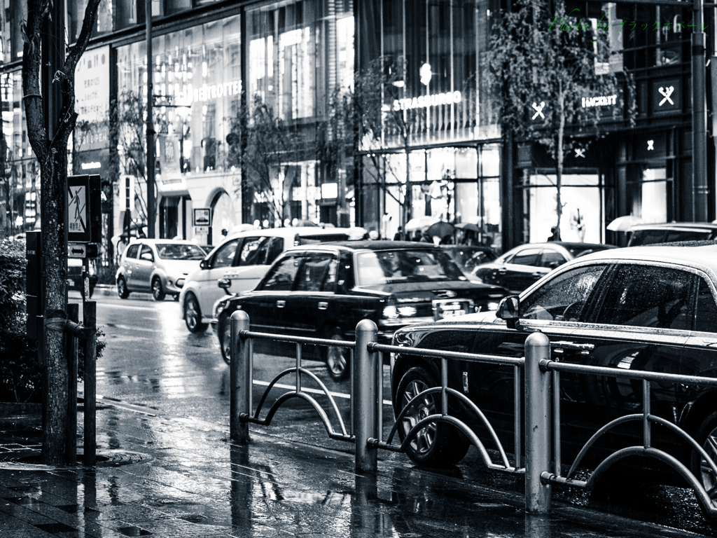 雨の銀座にて..