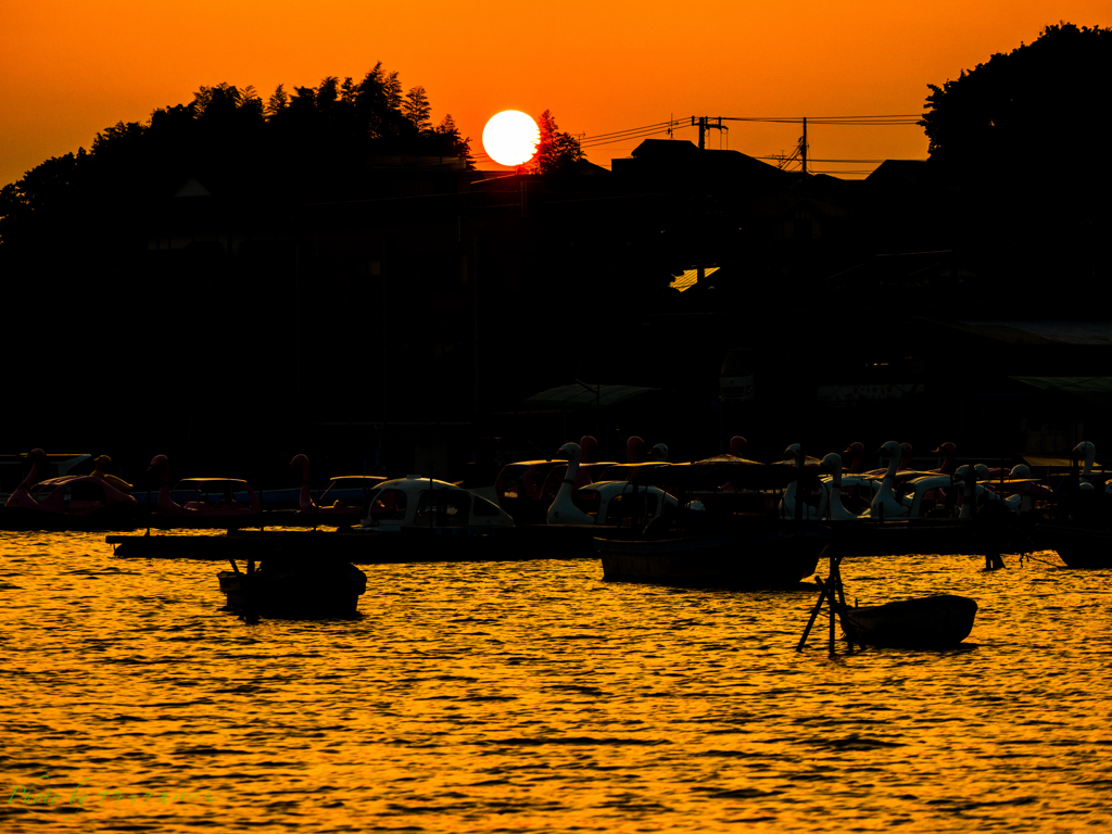 公園の夕日..