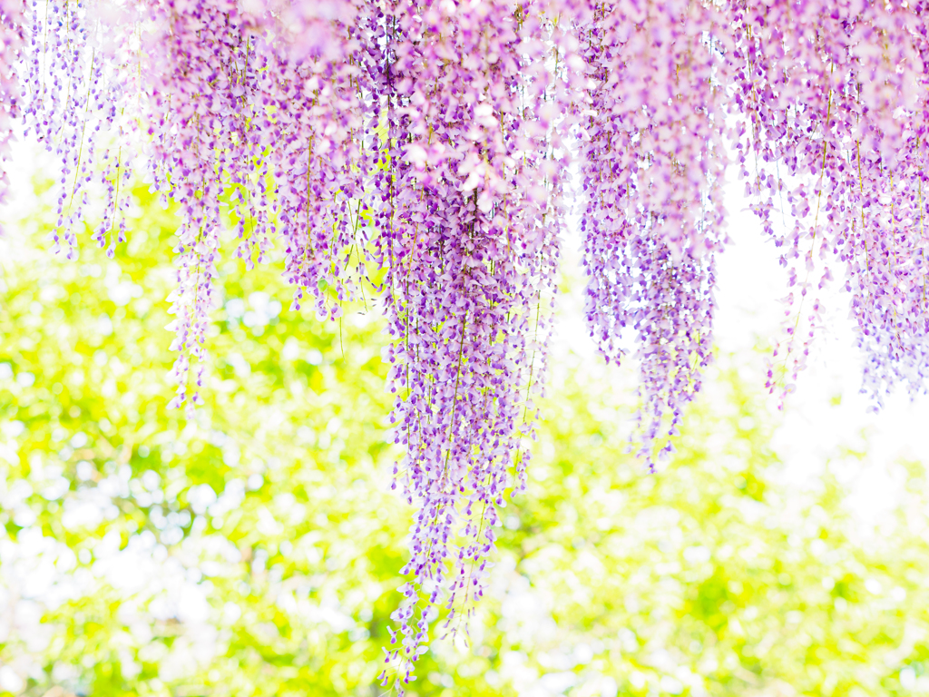 5月の光の中で..
