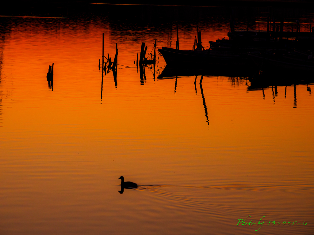 Solitude..