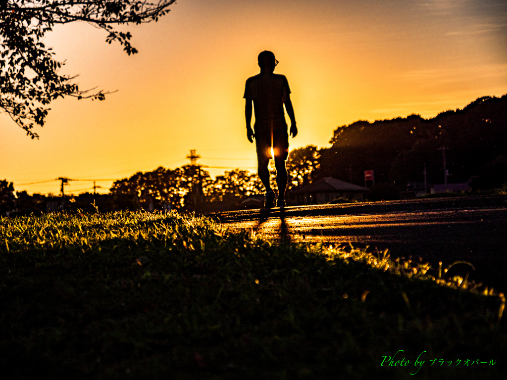 夕陽に向かって..