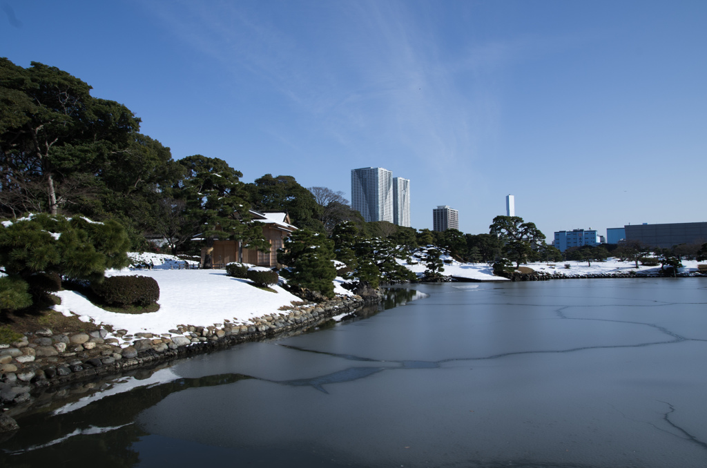 雪の浜離宮庭園①