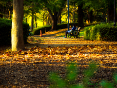 秋の日の公園風景..