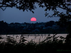 夏の夕暮れ..