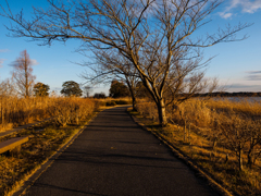 冬の散歩道...