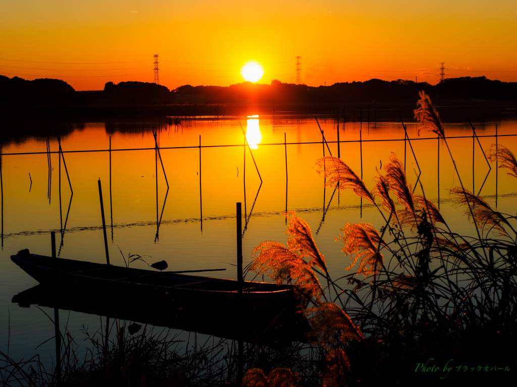 晩秋の夕日..＃3