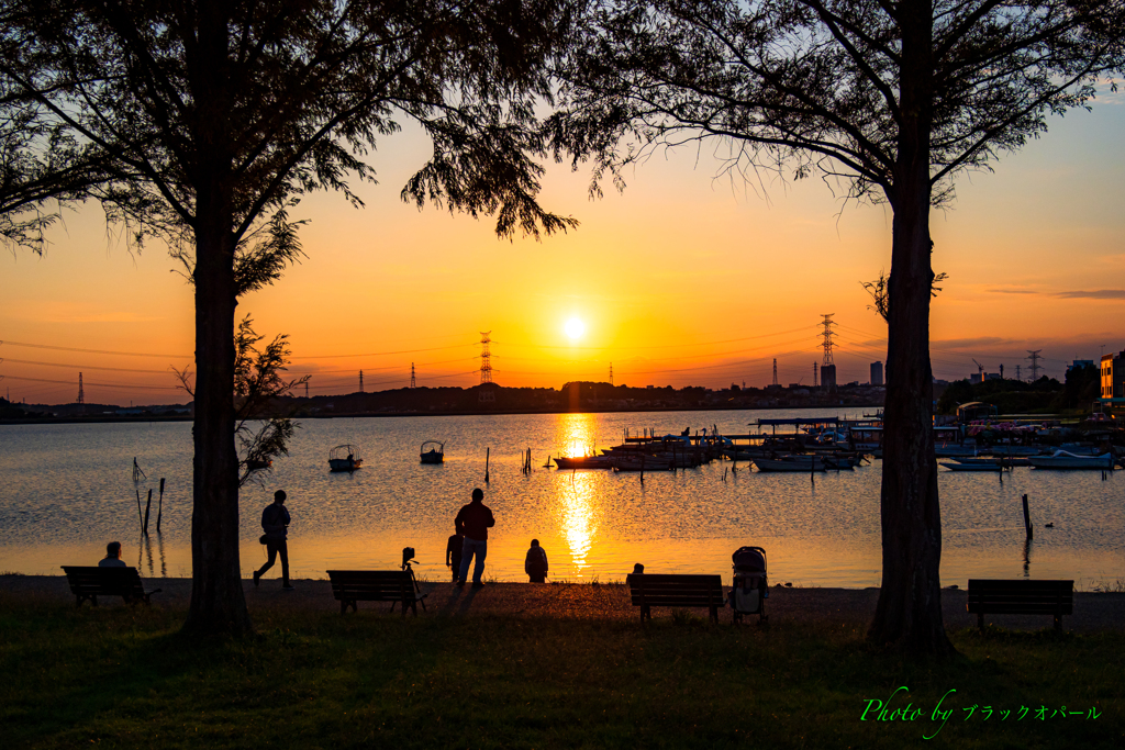 夕日の公園..