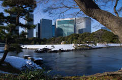 雪の浜離宮庭園⑯