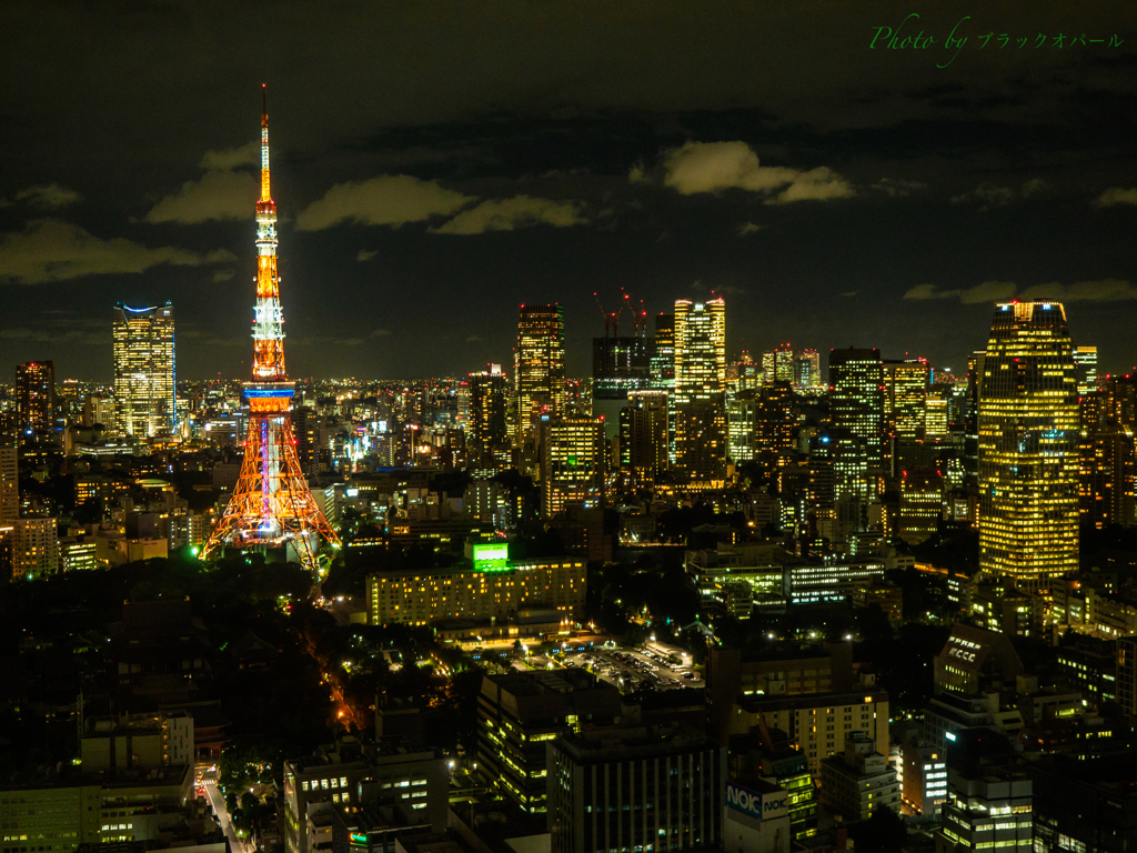 TOKYO NIGHT VIEW.