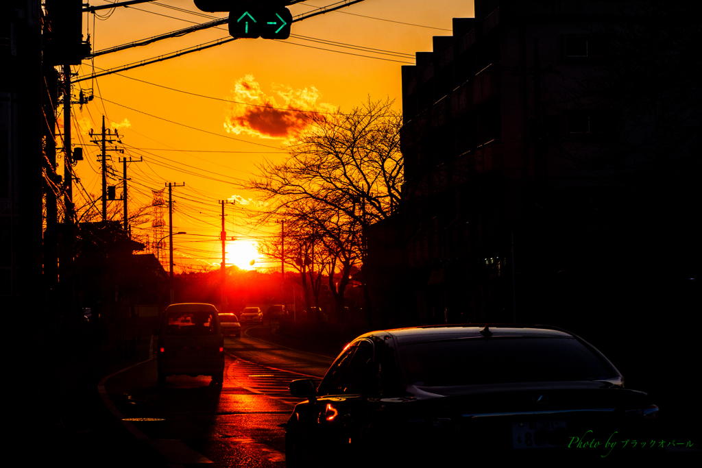 あの夕陽に向かって・・・