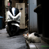 路地裏に佇む..