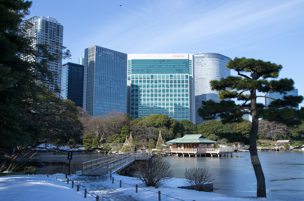 雪の浜離宮庭園⑨