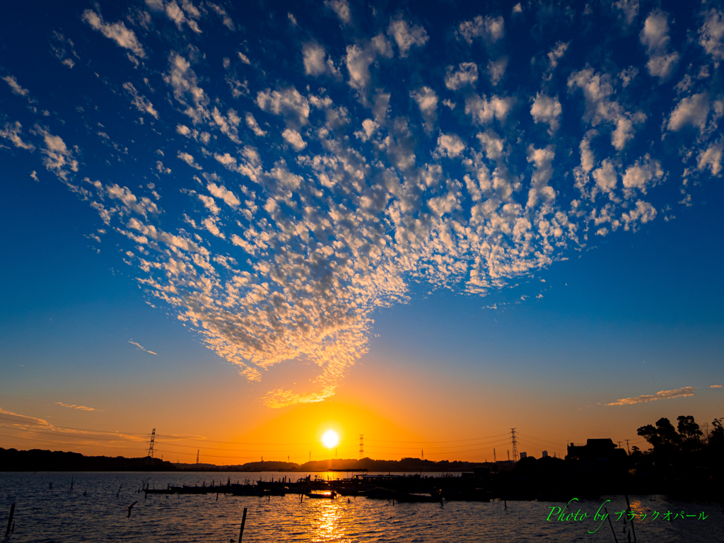 手賀沼夕景 (’23.11.23 ）..