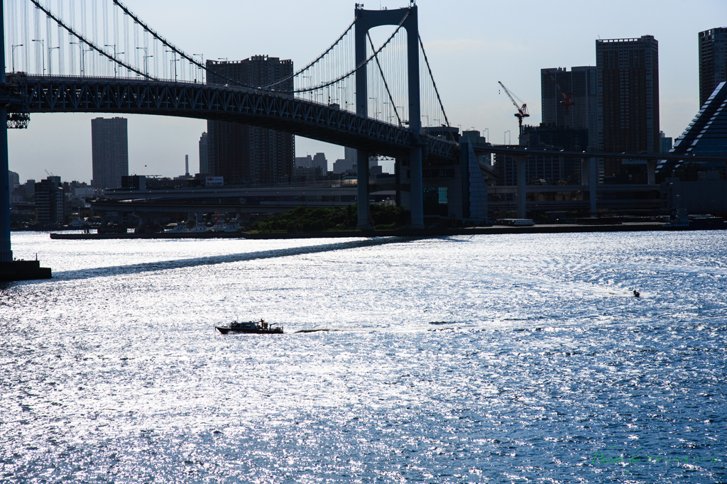 煌めきの海.