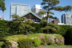 向こうは高層ビル群