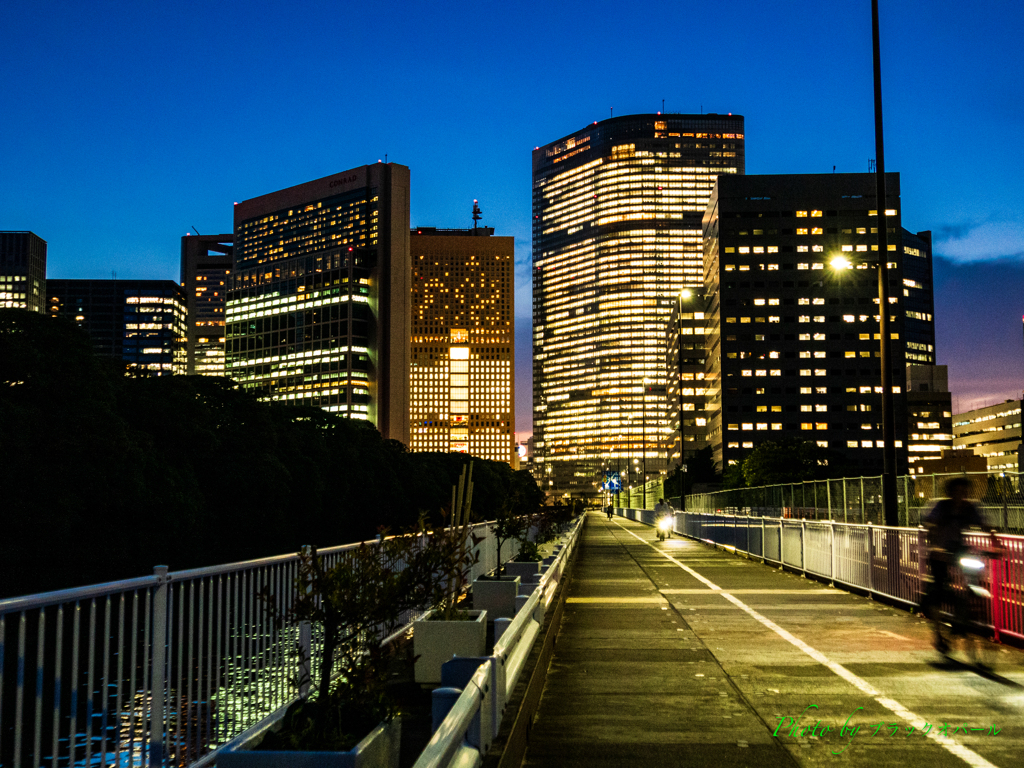 シオサイト夜景..