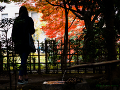 トーハクの庭園にて..＃2