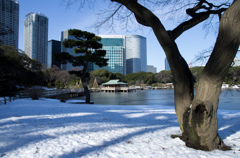 雪の浜離宮庭園⑩