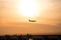 夕陽を浴びてⅡ