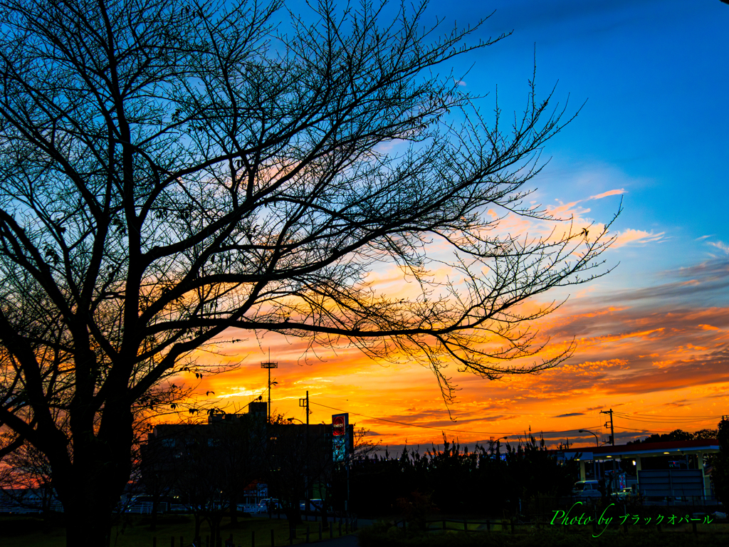 秋は夕暮れ..