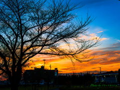 秋は夕暮れ..