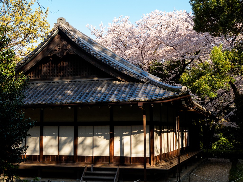 春の庭園にて..＃5