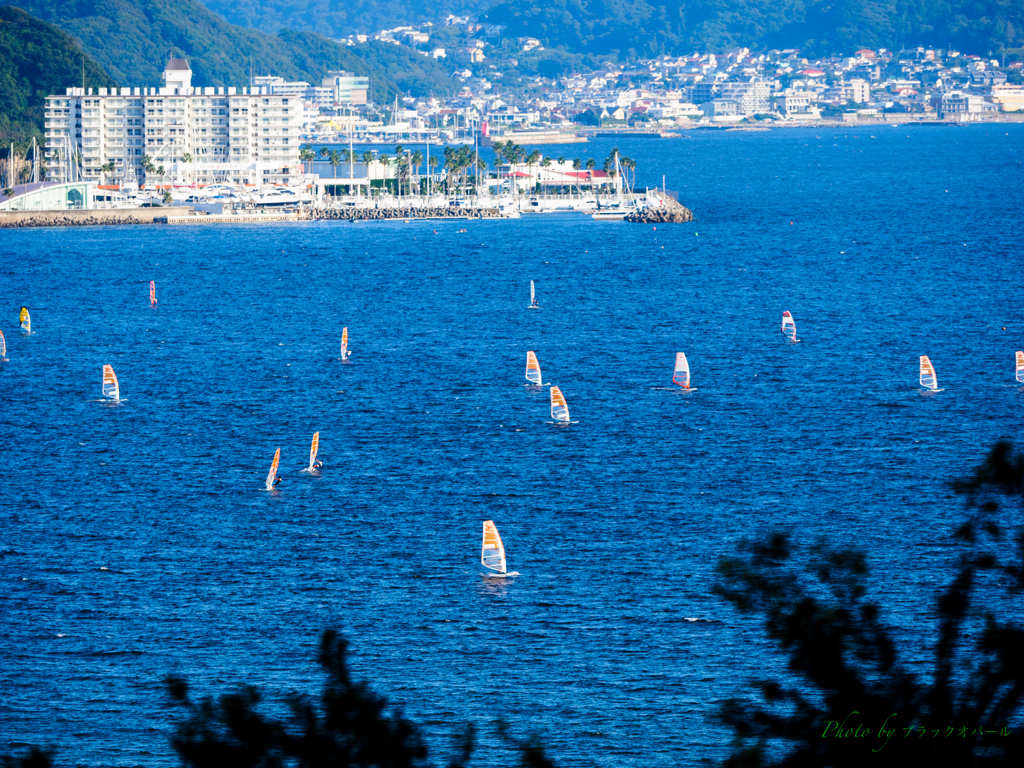 湘南の海..