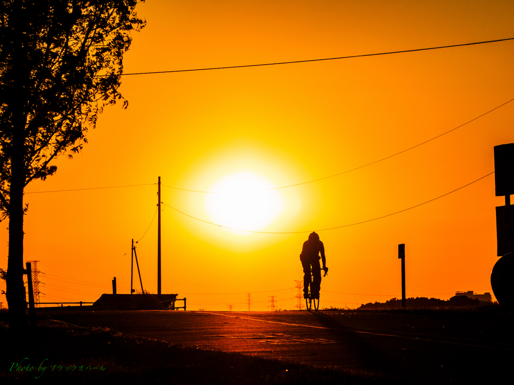 夕陽の遊歩道..＃2
