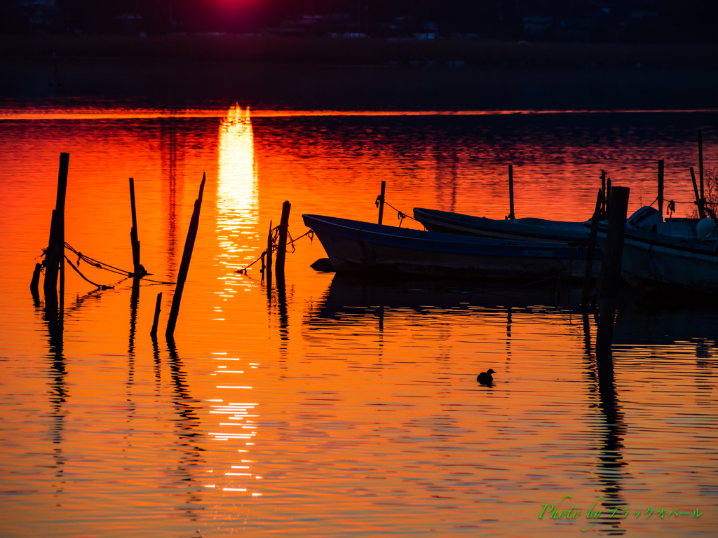 夕映の船影..