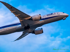飛び立つDreamliner..