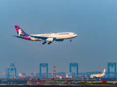 ALOHA〜 ハワイアン航空..