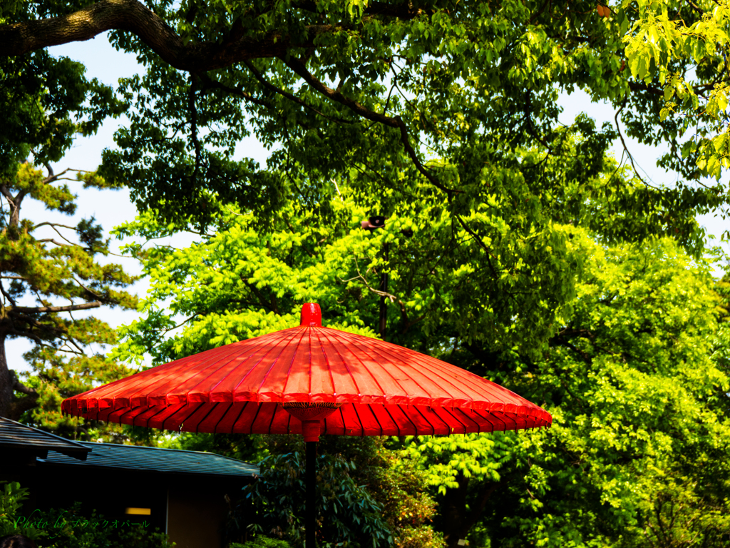 Red & Green..