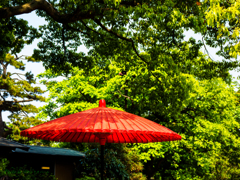 Red & Green..