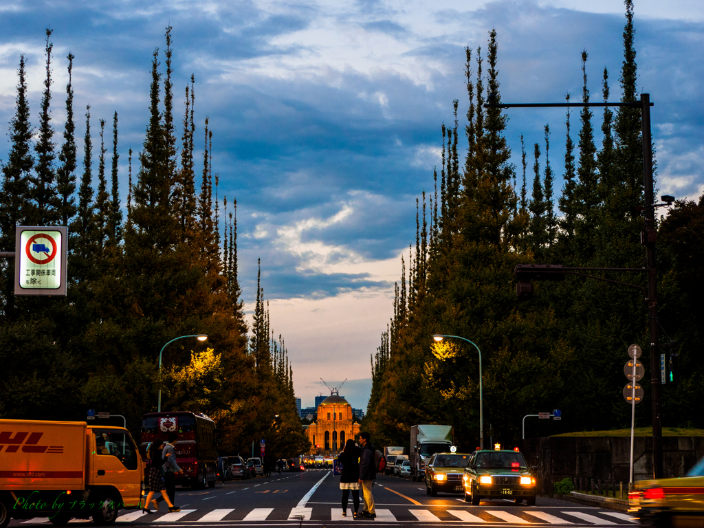 いちょう並木の夕暮れ..