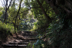 山道