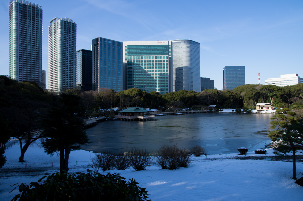 雪の浜離宮庭園⑲