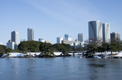 雪の浜離宮庭園⑤