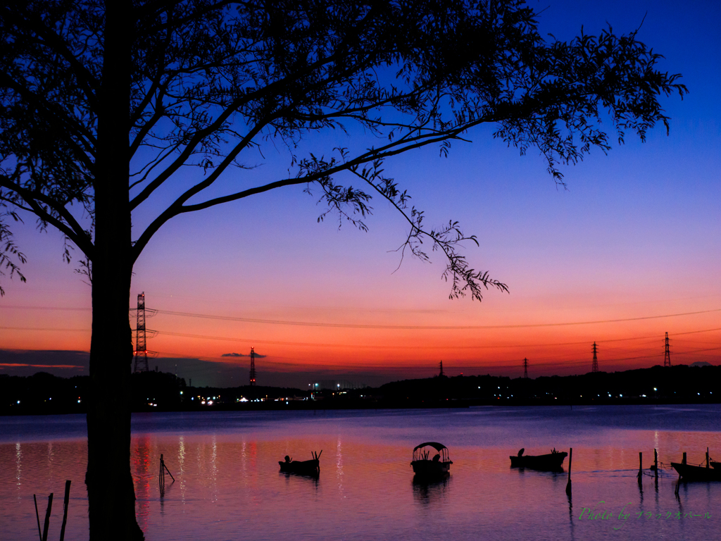 Twilight 手賀沼..＃2
