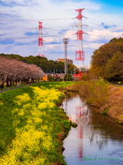 春の小川。。