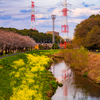 春の小川。。