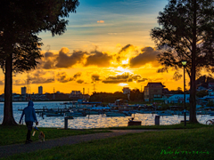 夕暮れの公園風景..